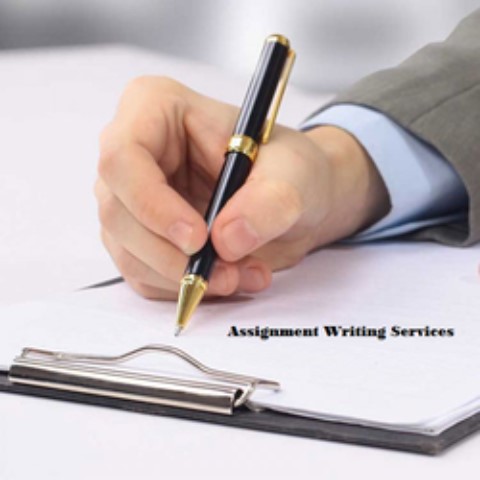 Write My Essay Write My Essay
